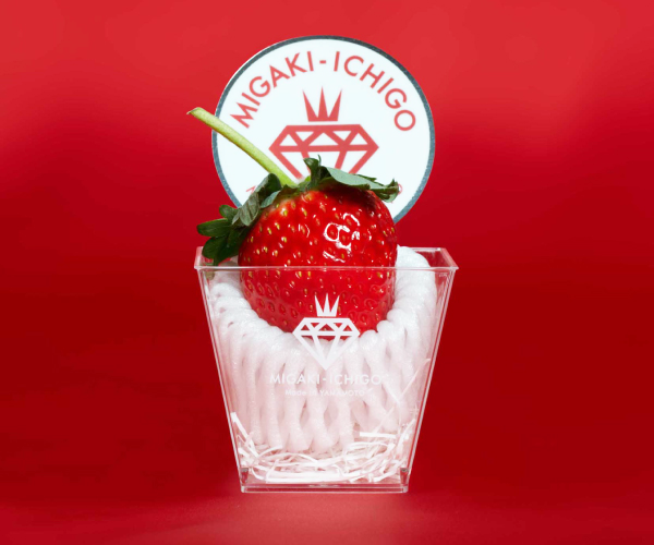 Migaki Ichigo Erdbeere | Magazin Freshbox