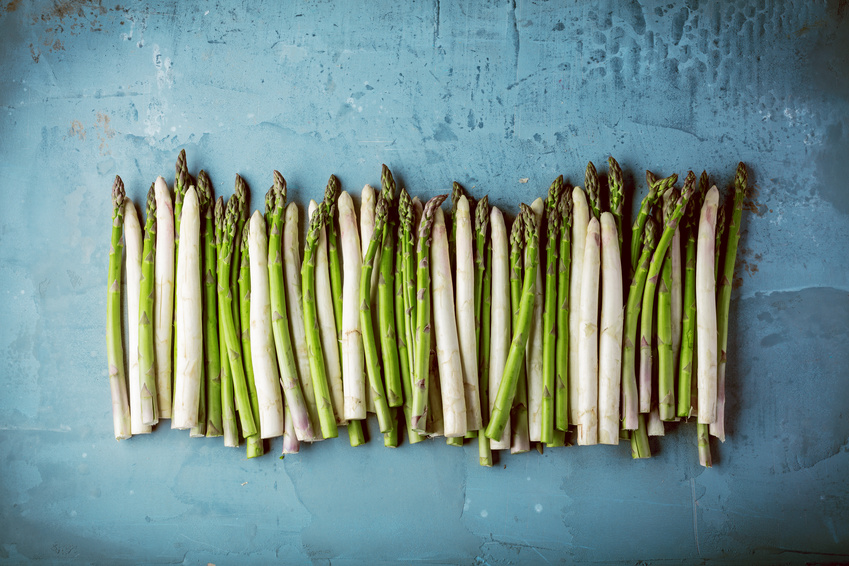 Saprgeln | Magazin Freshbox