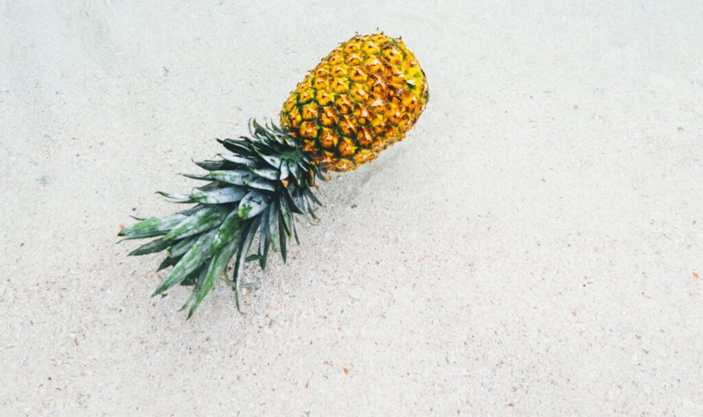 Sommerfrüchte | Magazin Freshbox