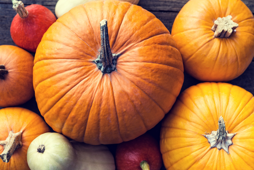 Kuerbis_Magazin_Freshbox