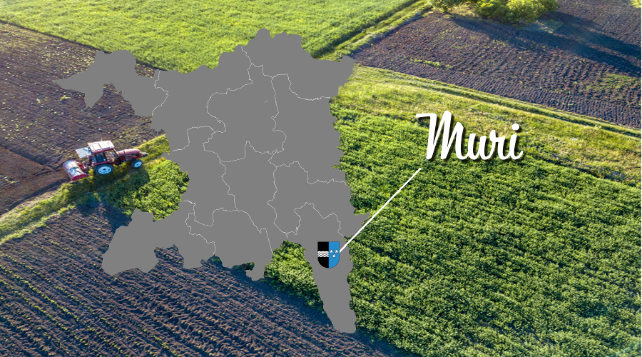 Reise durch den Aargau | Muri