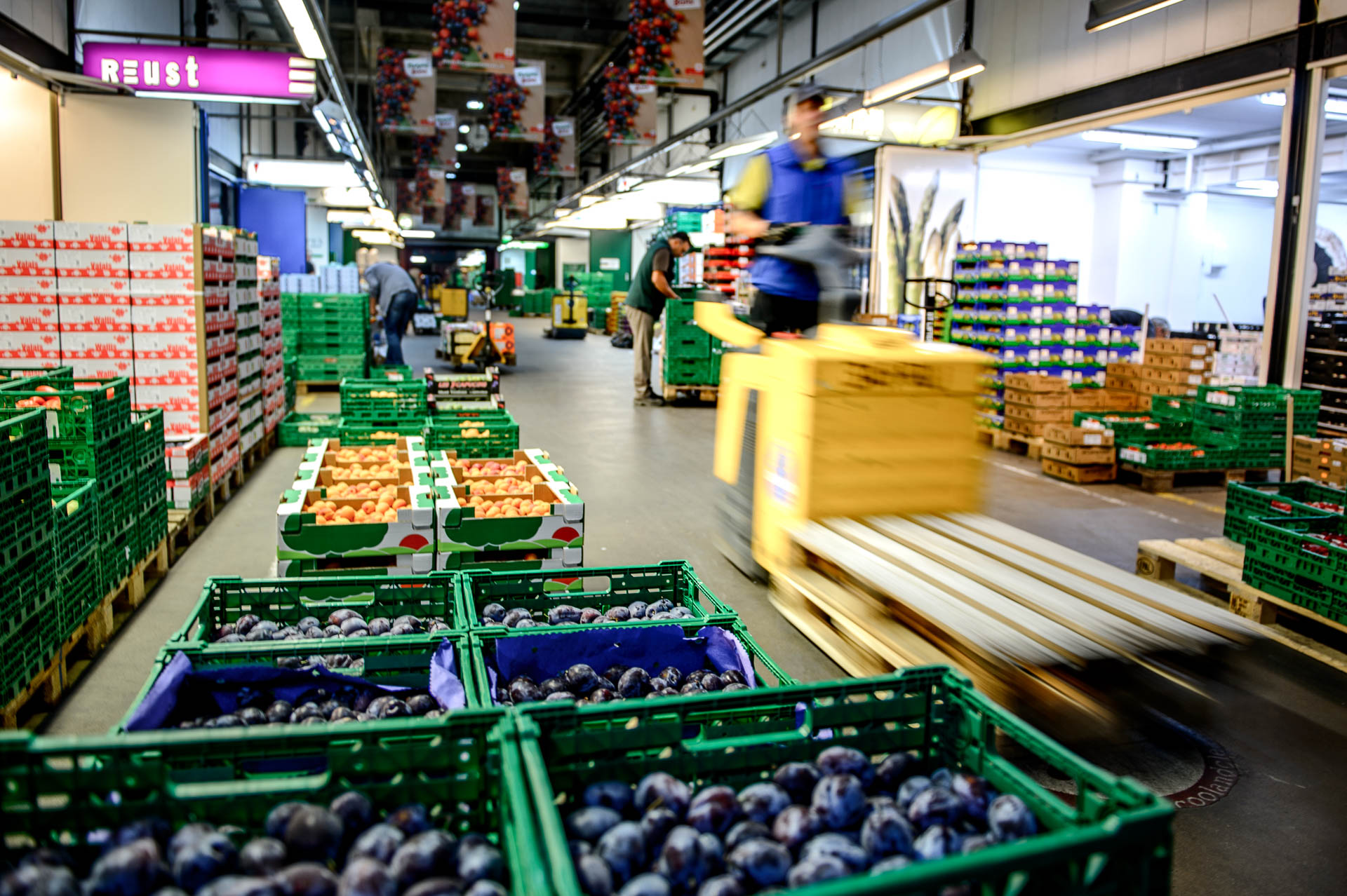 FRESHBOXPROD TEST COLOR-4