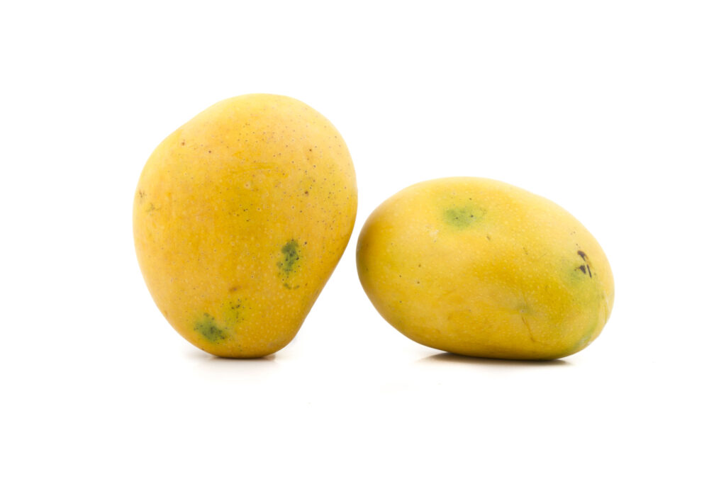 Tropical fruits Badam Mango