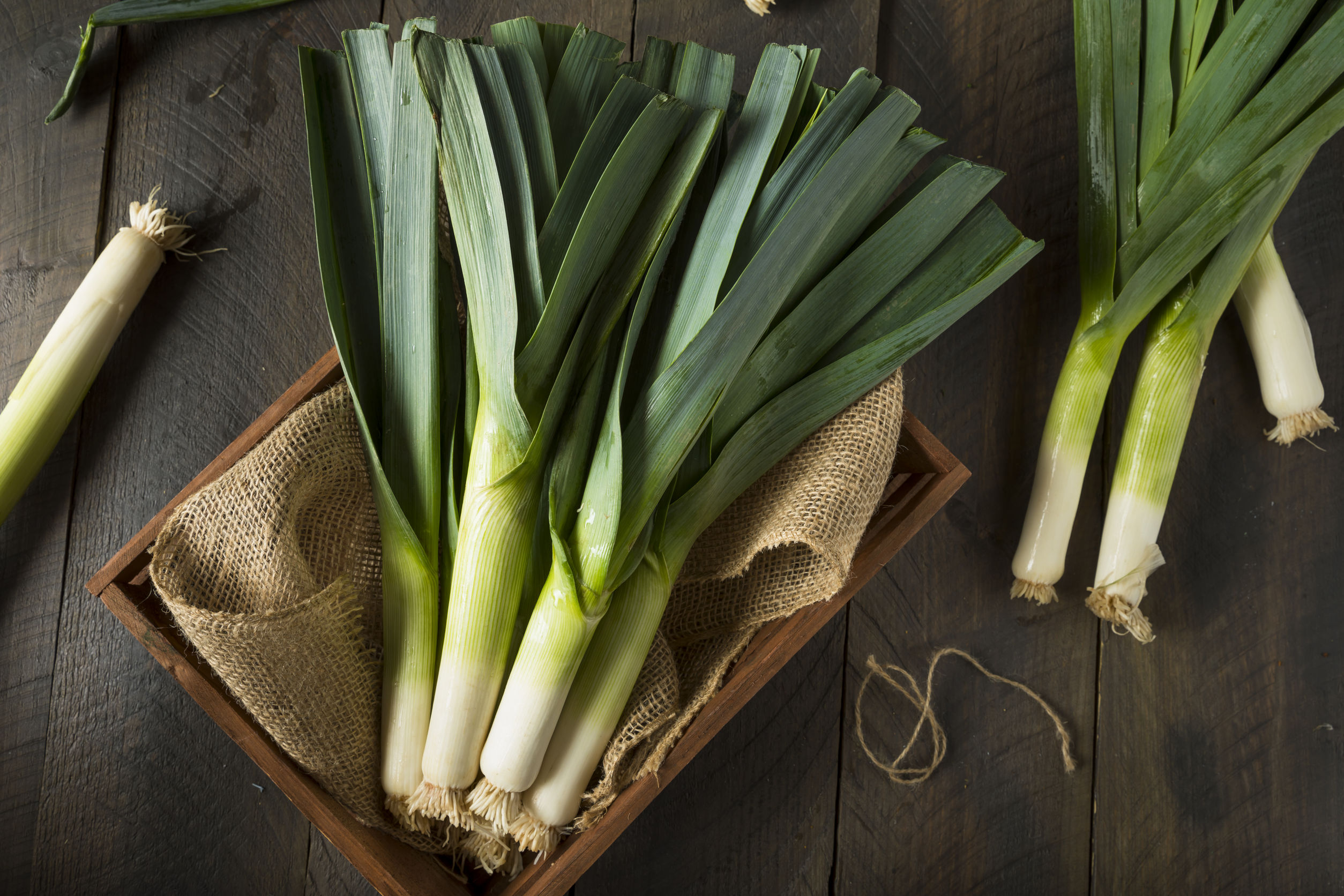 Raw Green Organic Leeks Ready to Chop