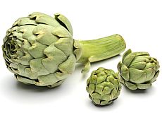 Artischocke_Freshbox