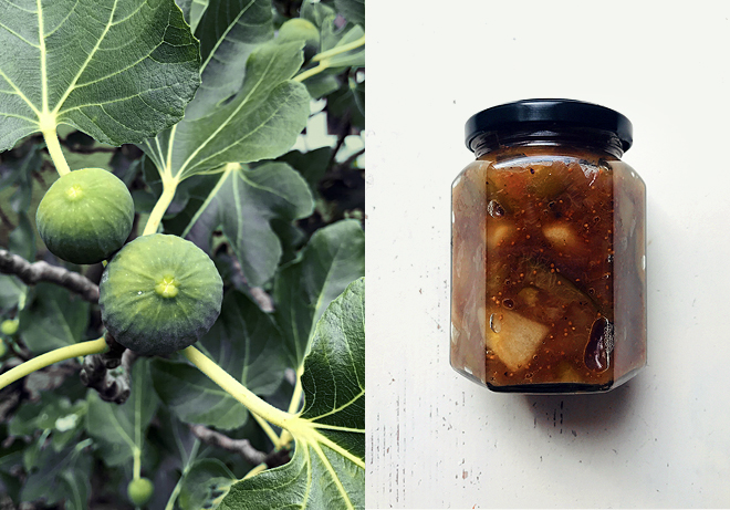 Credity by: tabletales